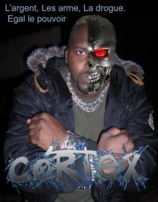 cortex